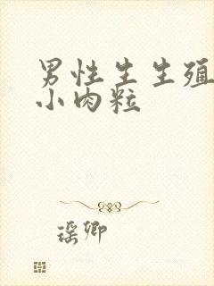 男性生生殖器长小肉粒