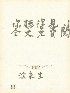 你听得见 小说全文免费阅读