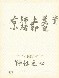 右肺上叶实性微小结节灶