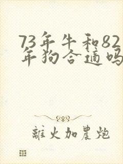73年牛和82年狗合适吗
