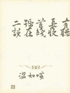 二号首长有声小说在线收听袁