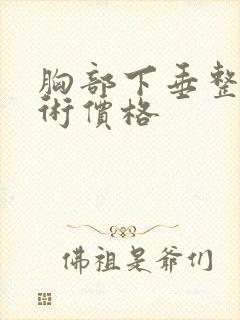 胸部下垂整形手术价格