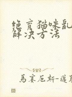 绝育猫咪乱尿的解决方法封面