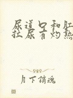 尿道口和肛门痒拉尿有灼热感