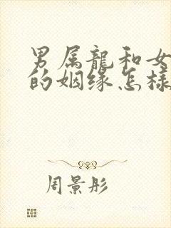 男属龙和女属牛的姻缘怎样