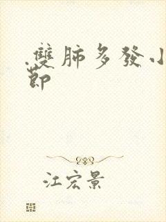 .双肺多发小结节