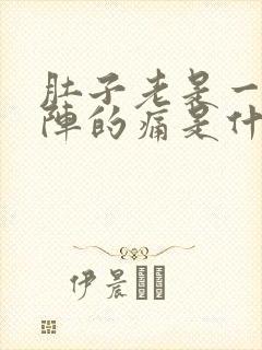 肚子老是一阵一阵的痛是什么原因