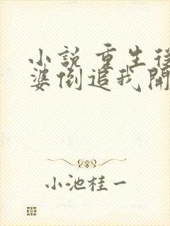 小说 重生从老婆倒追我开始封面