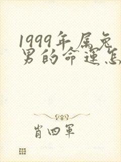1999年属兔男的命运怎么样