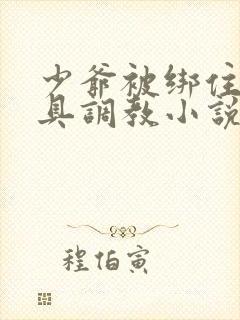 少爷被绑住用刑具调教小说