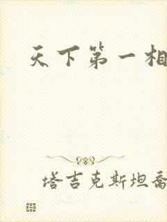 天下第一相书封面