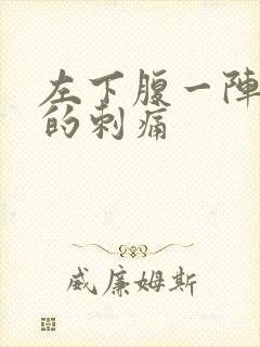 左下腹一阵一阵的刺痛