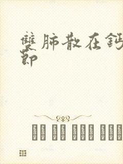 双肺散在钙化结节