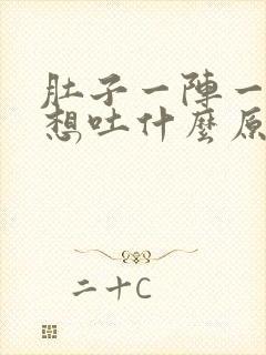 肚子一阵一阵痛想吐什么原因