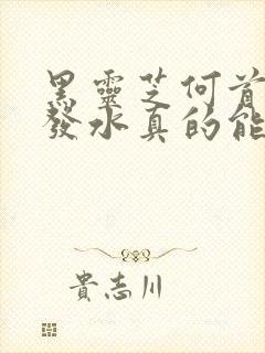 黑灵芝何首乌洗发水真的能黑发吗