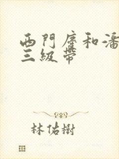 西门庆和潘金莲三级带