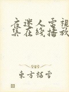 夜迷人电视剧全集在线播放免费观看