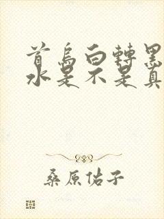 首乌白转黑洗发水是不是真的有效