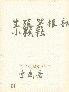 生殖器根部白色小颗粒