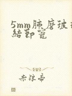 5mm肺磨玻璃结节灶