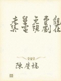 老舅免费观看全集电视剧在线观看