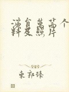 演员万茜个人资料及照片