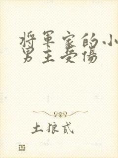 将军家的小娘子男主受伤