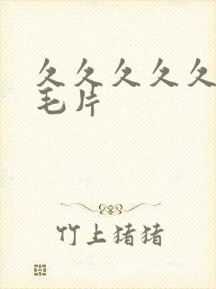 久久久久久经典毛片