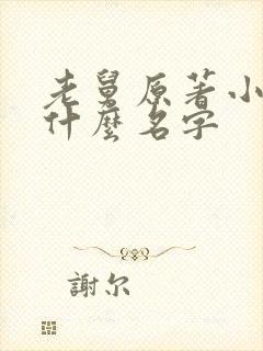 老舅原著小说叫什么名字