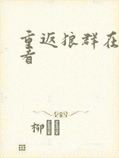 重返狼群在哪儿看