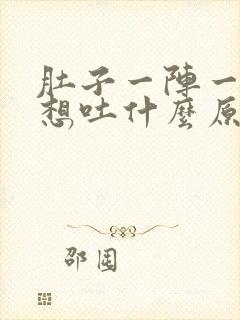 肚子一阵一阵痛想吐什么原因