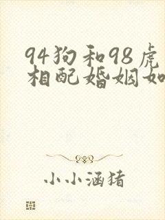 94狗和98虎相配婚姻如何封面