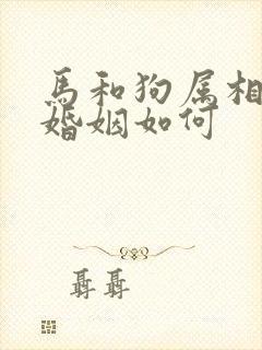 马和狗属相相配婚姻如何封面