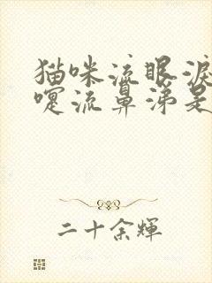 猫咪流眼泪打喷嚏流鼻涕是什么症状