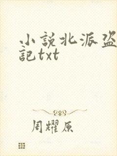 小说北派盗墓笔记txt
