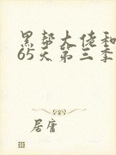 黑帮大佬和我365天第三季