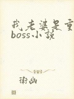 我老婆是重生大boss小说