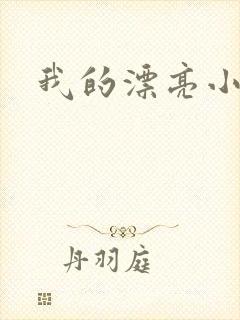 我的漂亮小后妈