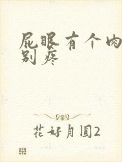 屁眼有个肉球特别疼