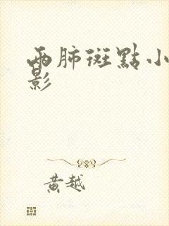 两肺斑点小结节影