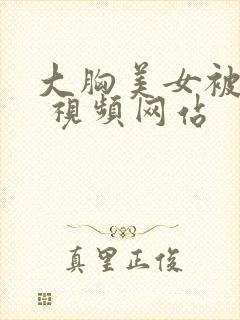 大胸美女被揉胸 视频网站