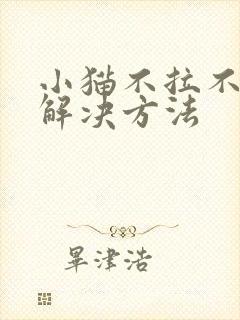 小猫不拉不尿的解决方法