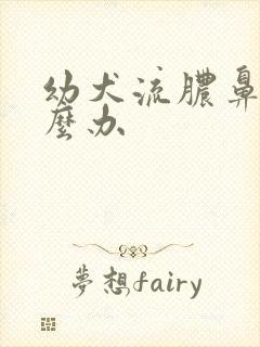 幼犬流脓鼻涕怎么办