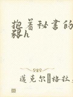 抱着秘书的大乳啃h封面