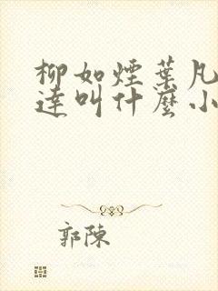 柳如烟叶凡季博达叫什么小说