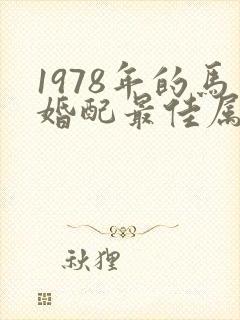 1978年的马婚配最佳属相
