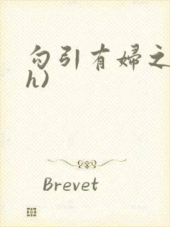 勾引有妇之夫(h)封面