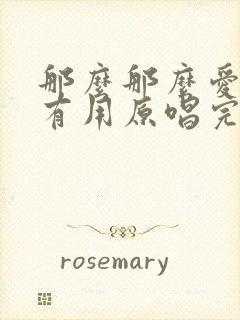 那么那么爱你没有用原唱完整版