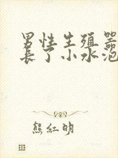 男性生殖器上面长了小水泡是怎么回事