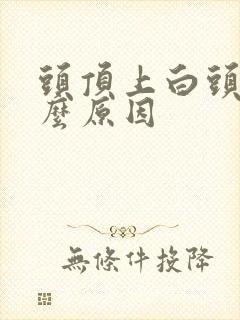 头顶上白头发什么原因